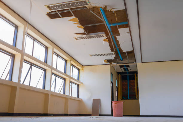 Best Carpet water damage restoration  in Yazoo City, MS