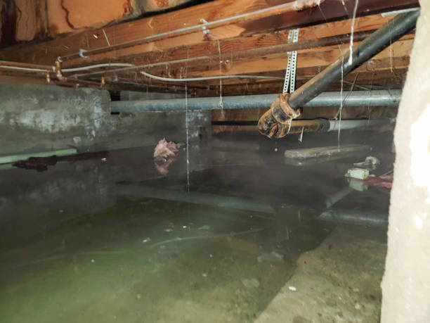 Best Emergency water damage restoration  in Yazoo City, MS