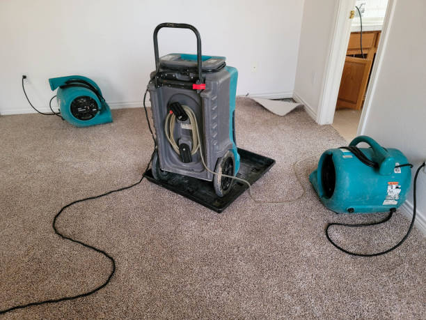 Best Ceiling water damage repair  in Yazoo City, MS
