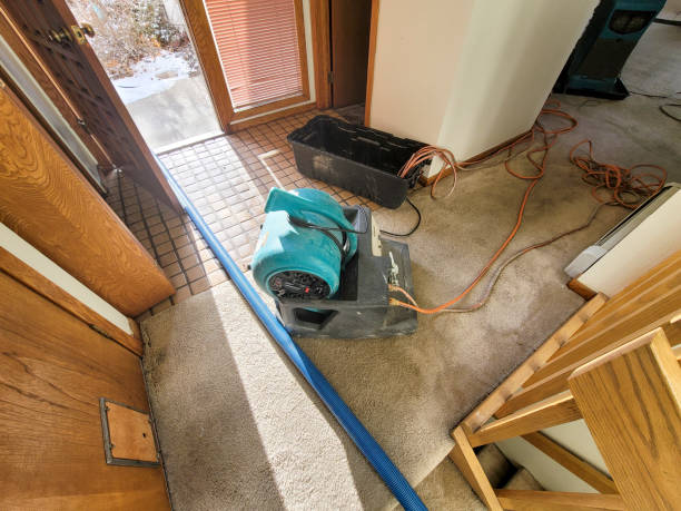 Best Sewage cleanup and water damage restoration  in Yazoo City, MS