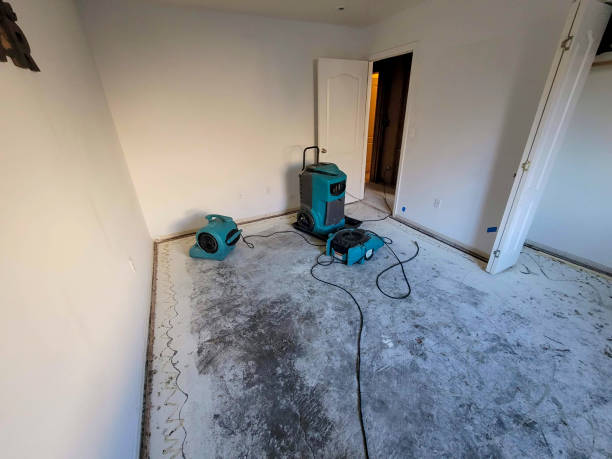 Best 24-hour water damage restoration  in Yazoo City, MS