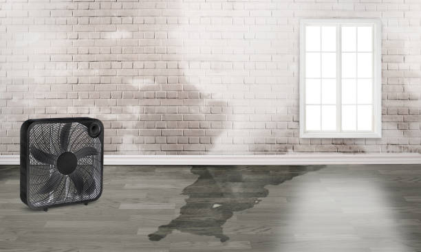 Best Water damage restoration near me  in Yazoo City, MS