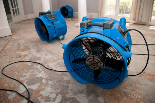 Best Water damage cleanup near me  in Yazoo City, MS