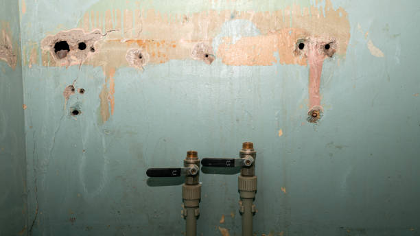 Best Water damage restoration near me  in Yazoo City, MS