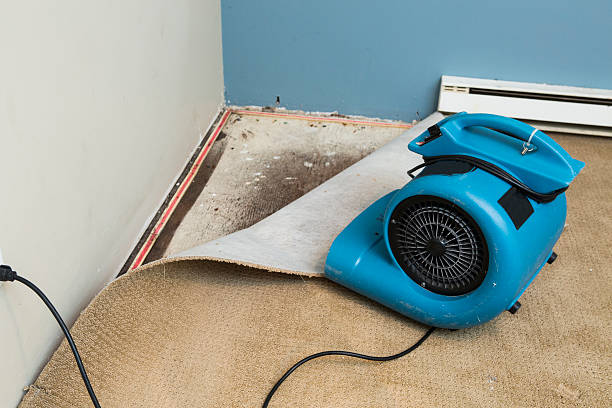 Best 24/7 water damage repair  in Yazoo City, MS